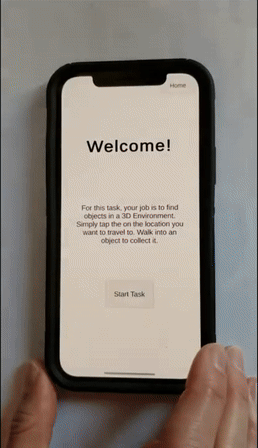 Enabling Developer Mode